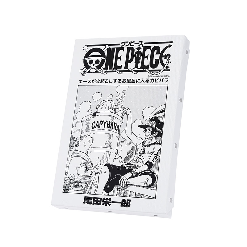 『ONE PIECE』扉絵アートボード エース（107巻・1087話）