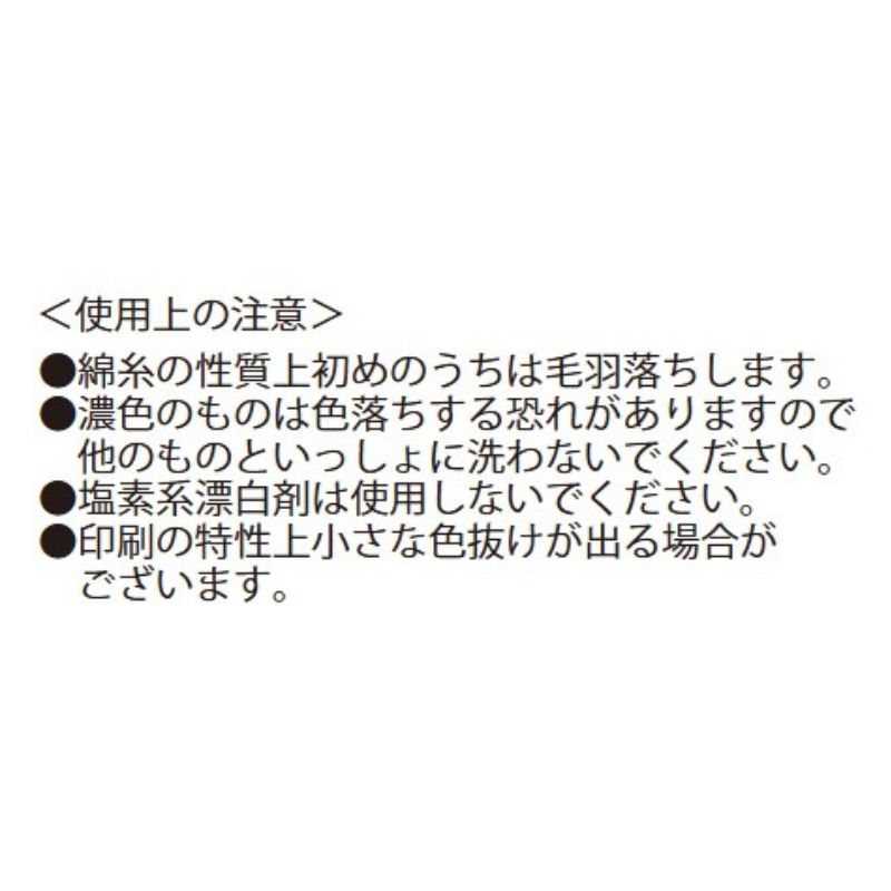 『家庭教師ヒットマンＲＥＢＯＲＮ！』フェイスタオル　ＢＦ２