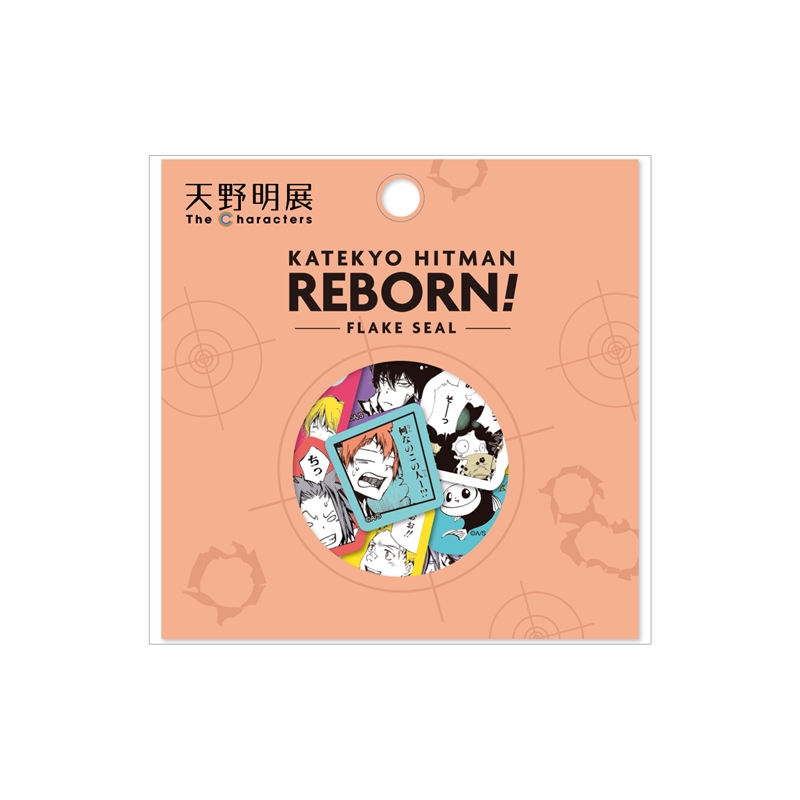 『家庭教師ヒットマンＲＥＢＯＲＮ！』フレークシール　＜天野明展＞　ＢＤ２