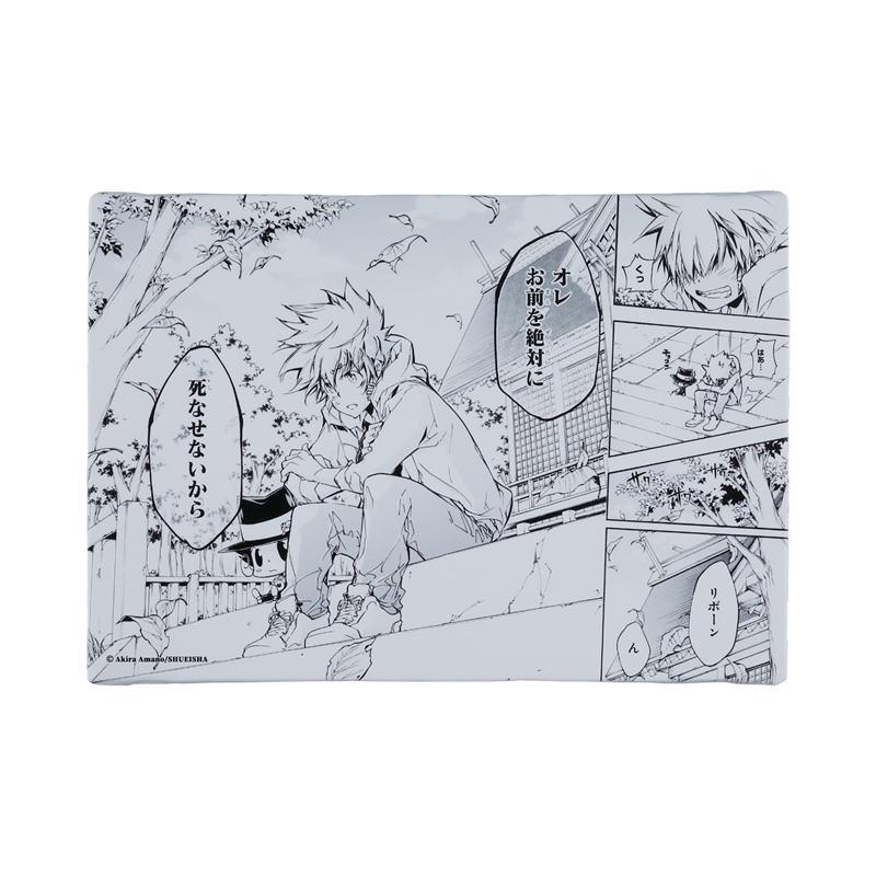 『家庭教師ヒットマンＲＥＢＯＲＮ！』名場面アートボード　「オレお前を絶対に死なせないから」　＜天野明展＞　ＢＤ２