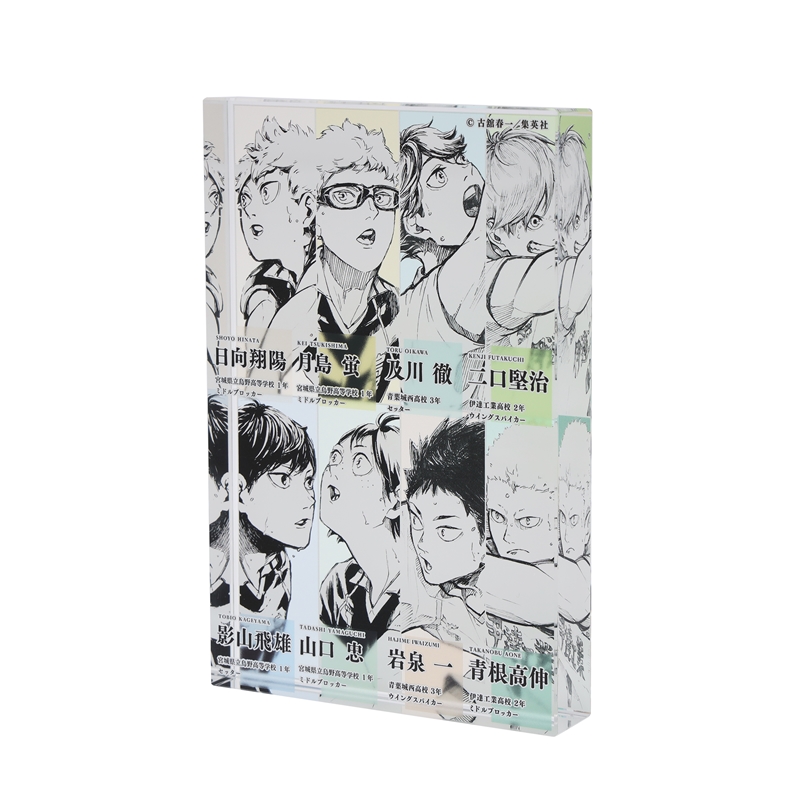 『ハイキュー！！』アクリルブロック　日向翔陽＆影山飛雄＆月島蛍＆山口忠＆及川徹＆岩泉一＆青根高伸＆二口堅治　【仙台観光特使就任記念Ｖｅｒ．】　ＢＦ３