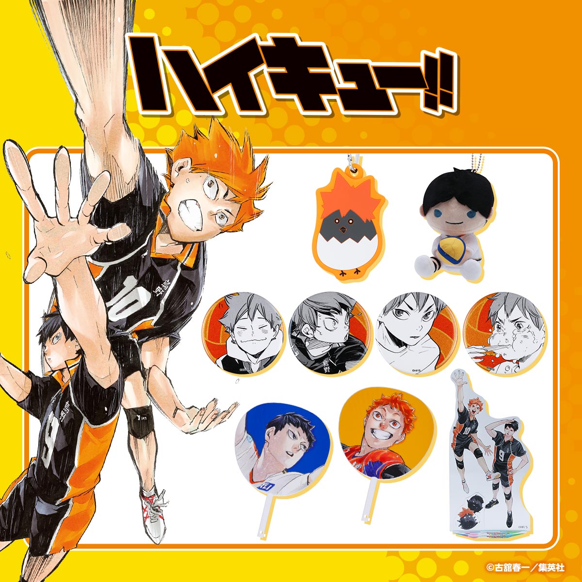 『ハイキュー!!』特集